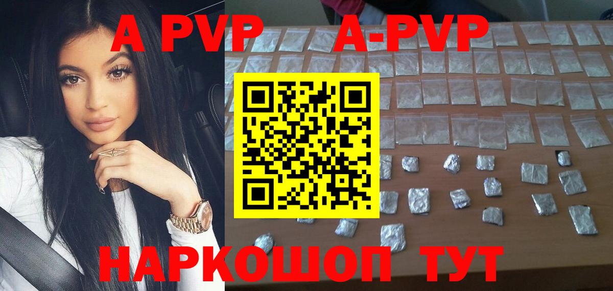 Альфа ПВП СК КРИС Аргун