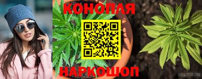 эйфоретик Берёзовский