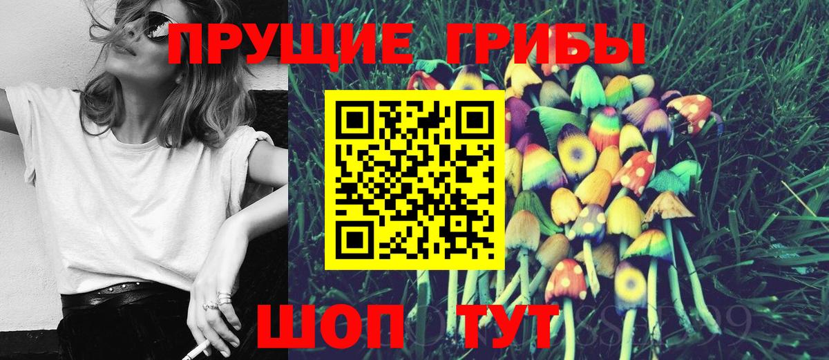 Галлюциногенные грибы Psilocybe Аргун