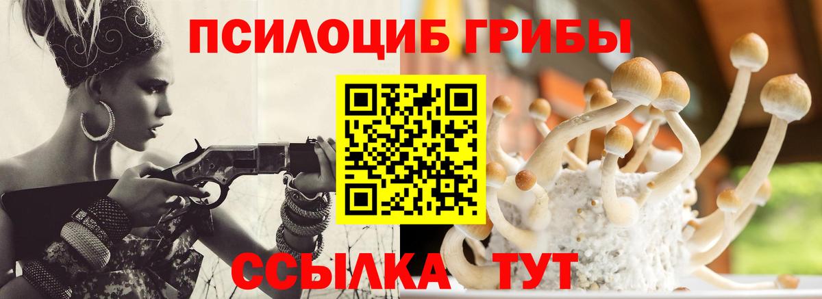 Галлюциногенные грибы MAGIC MUSHROOMS  Вход с VPN  Аргун 